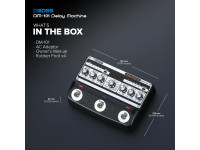 <b>BOSS DM-101 DELAY MACHINE 8 Chips BBD Bucket-brigade device</b> <b>BOSS DM-101 DELAY MACHINE 8 Chips BBD Bucket-brigade device</b>